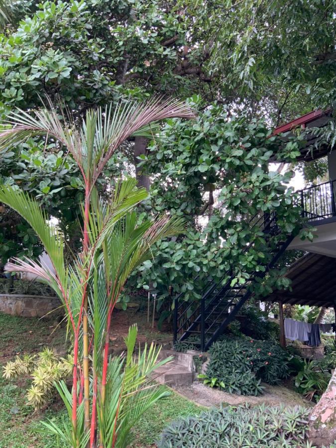 Lali Villa & Fruit Garden Galle Exterior photo