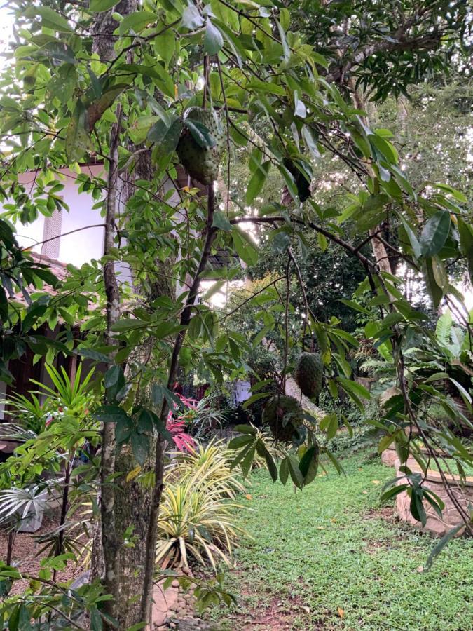 Lali Villa & Fruit Garden Galle Exterior photo
