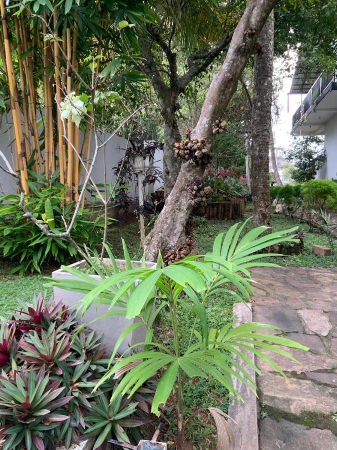 Lali Villa & Fruit Garden Galle Exterior photo