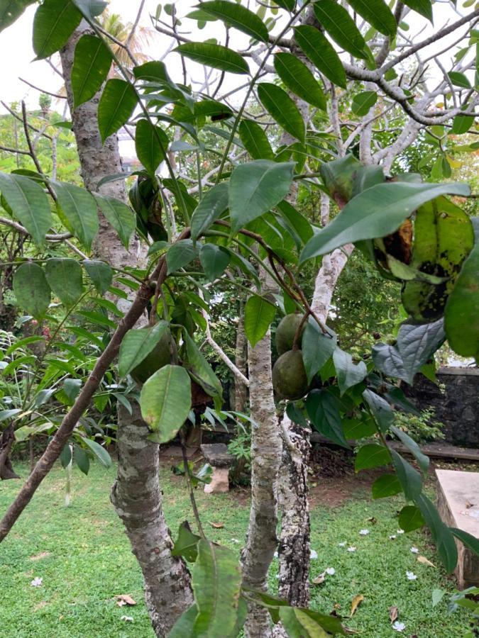 Lali Villa & Fruit Garden Galle Exterior photo