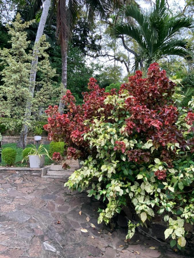 Lali Villa & Fruit Garden Galle Exterior photo