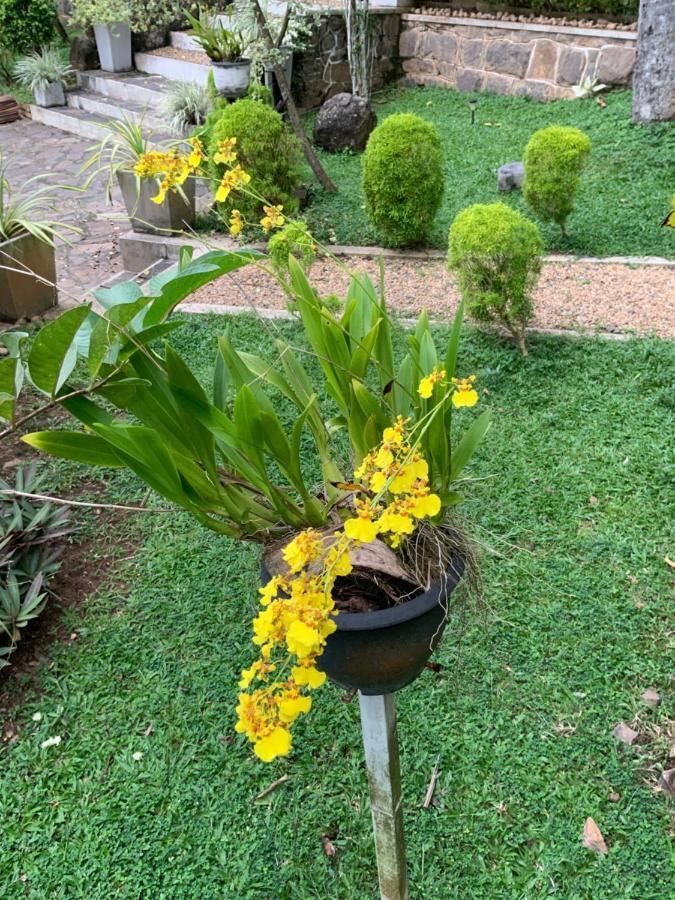 Lali Villa & Fruit Garden Galle Exterior photo