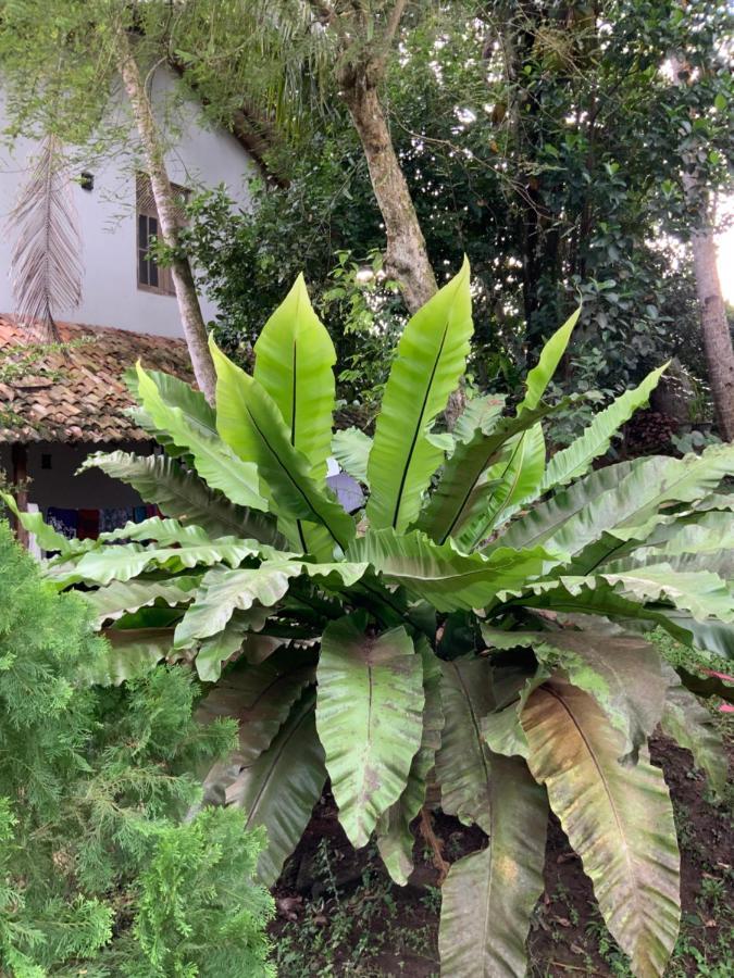 Lali Villa & Fruit Garden Galle Exterior photo