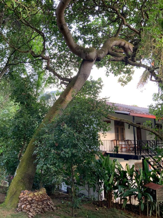 Lali Villa & Fruit Garden Galle Exterior photo