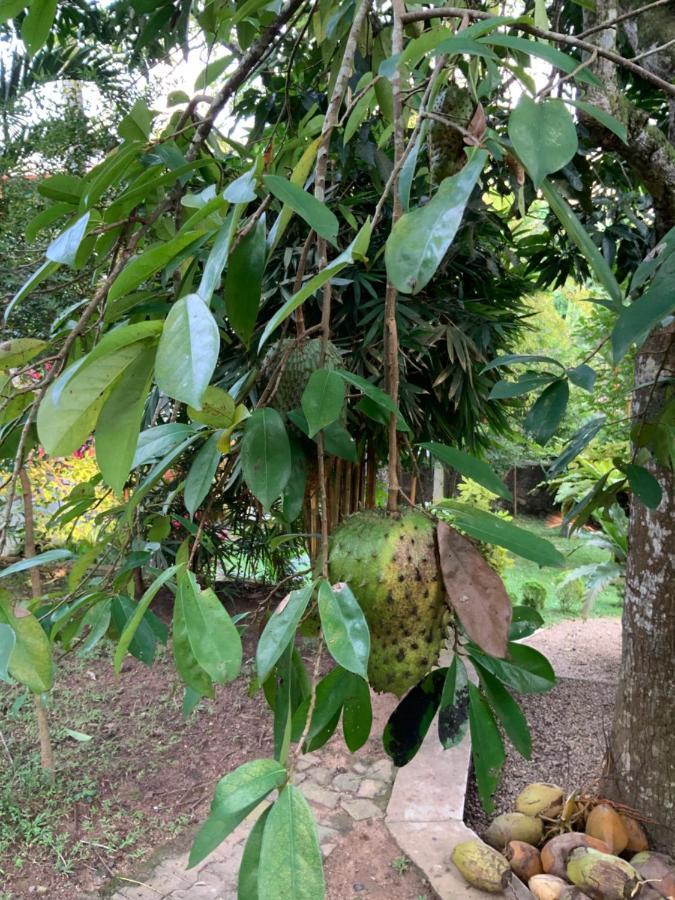 Lali Villa & Fruit Garden Galle Exterior photo